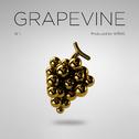 Grapevine专辑