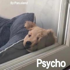 Psycho (remix)