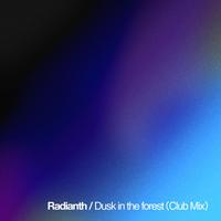 Dusk in the forest (Club Mix)