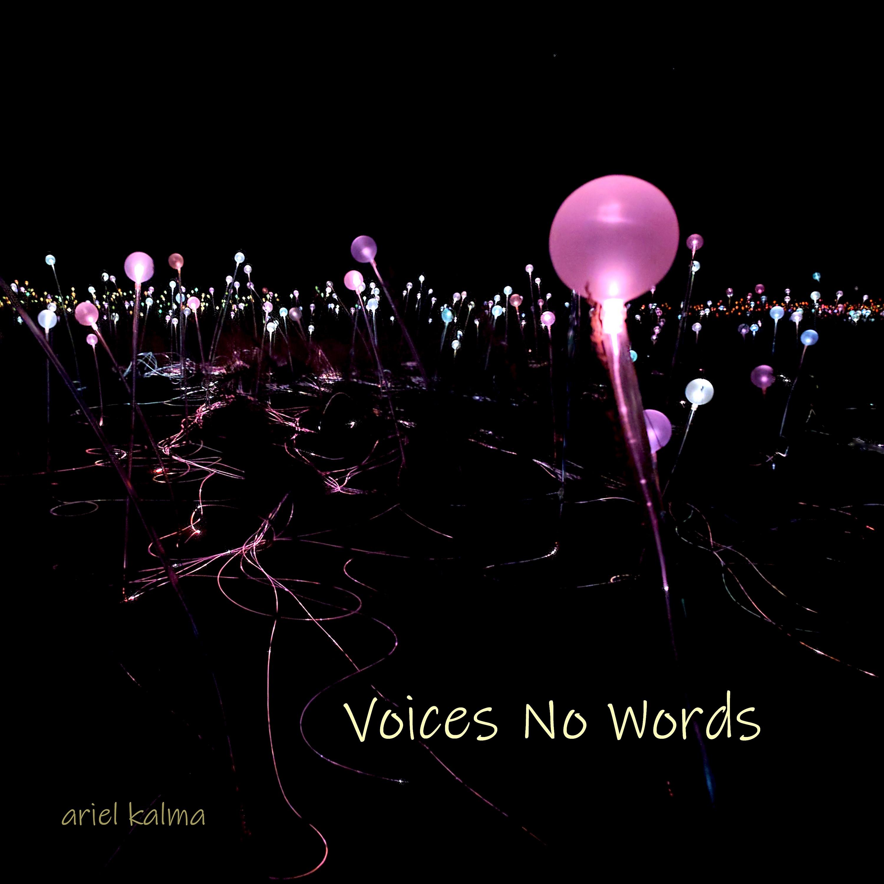 Voices No Words