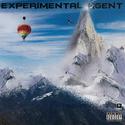 EXPERIMENTAL AGENT(实验剂）