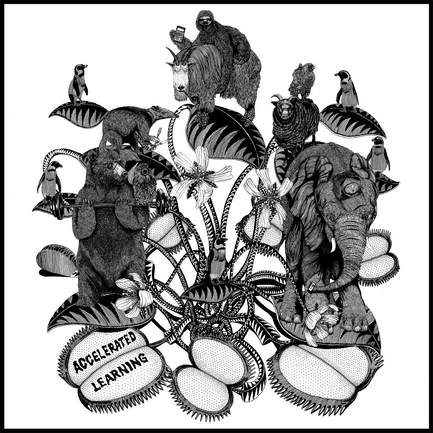 Awesome Tapes from Africa (Amazon Free Track)