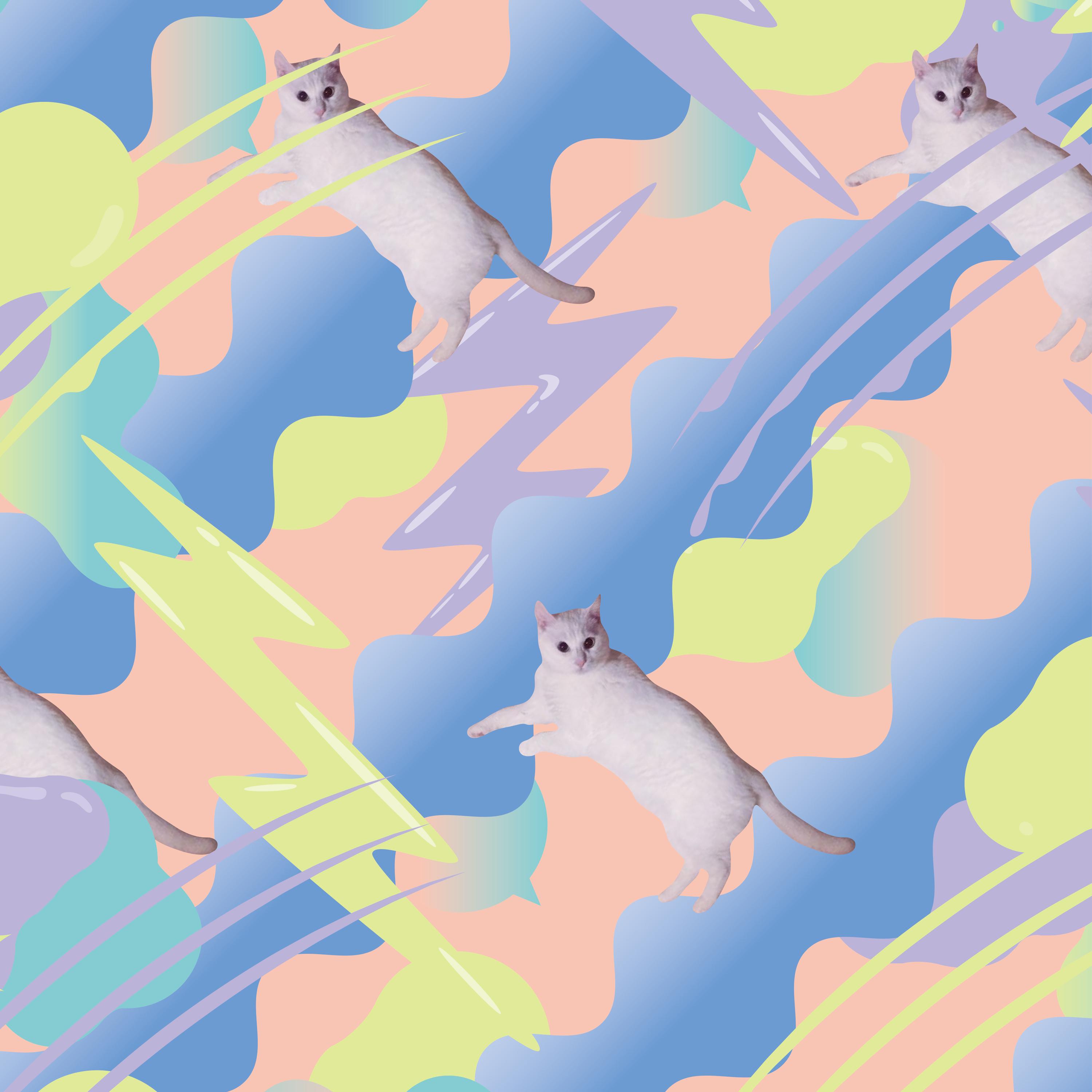 ねこの気まぐれ