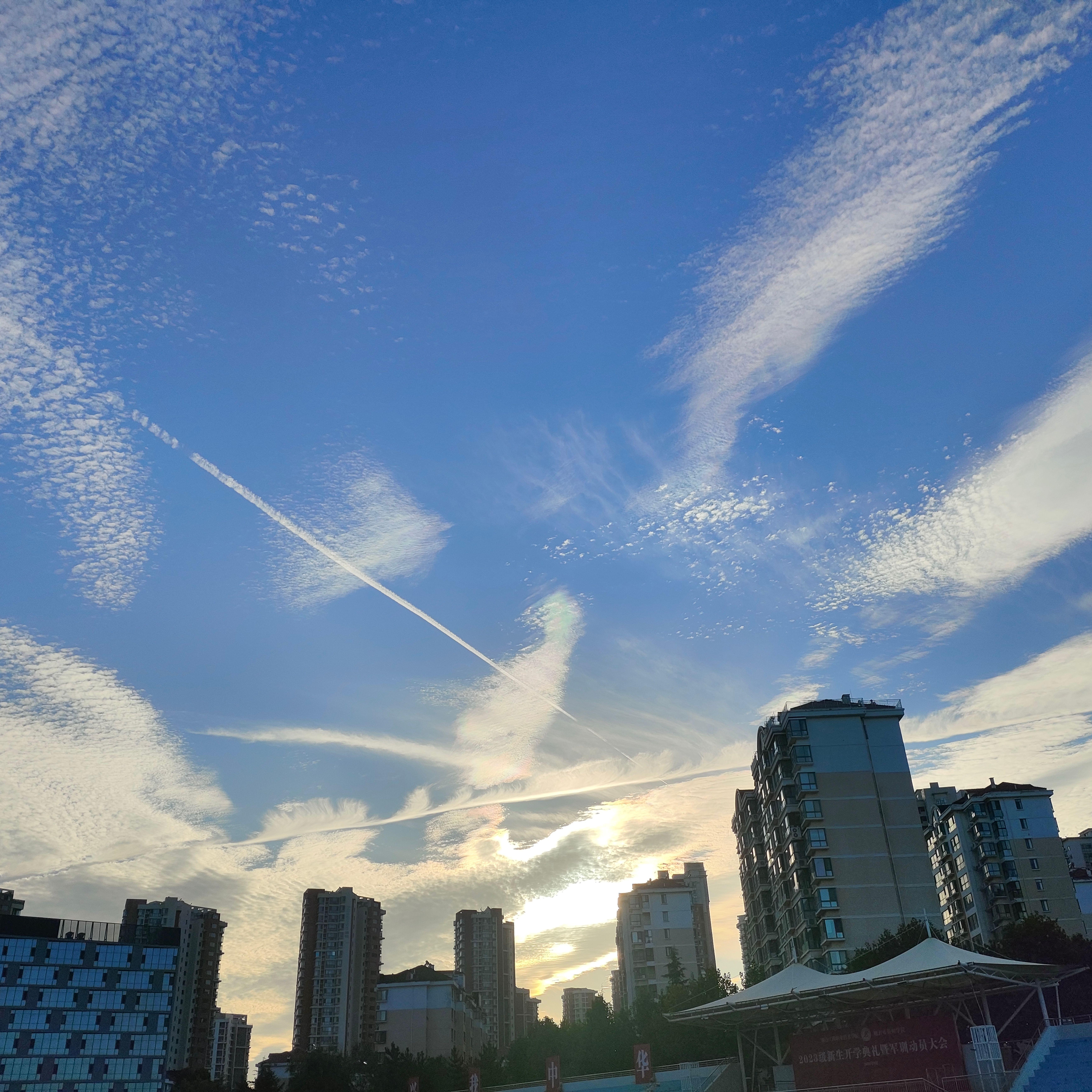 不幸人間強制収容所【初音ミクCOVER】