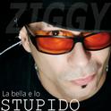 La bella e lo stupido专辑