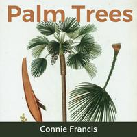Connie Francis - Someone Else's Boy (karaoke Version)