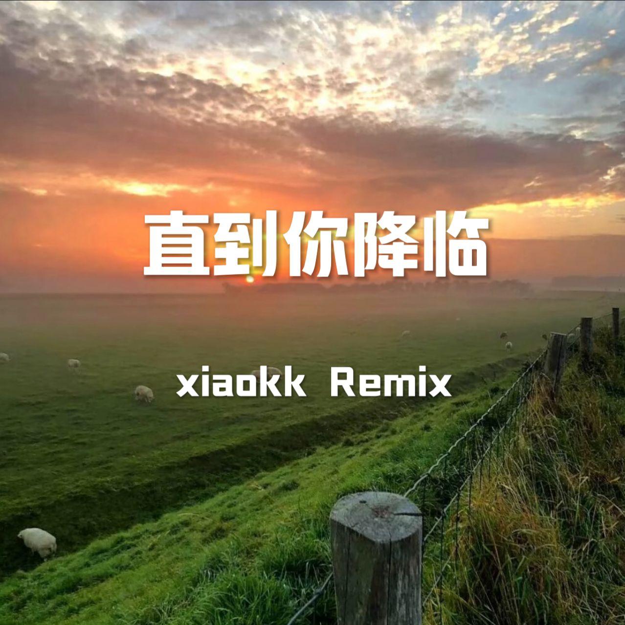 直到你降临 dj（xiaokk Remix）