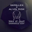 Try It Out (Darkwole Edit)专辑