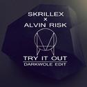 Try It Out (Darkwole Edit)专辑