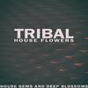 Luke Long - Tribal Jumbox (Tribal Squeaks Mix)