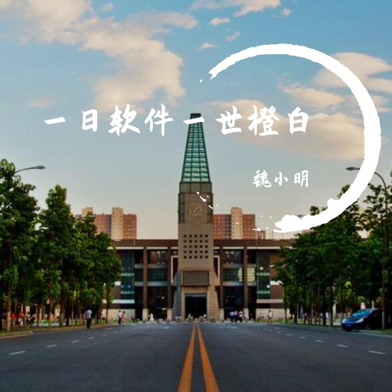 一日软件一世橙白