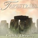 Tapestries: Celtic Dawn专辑
