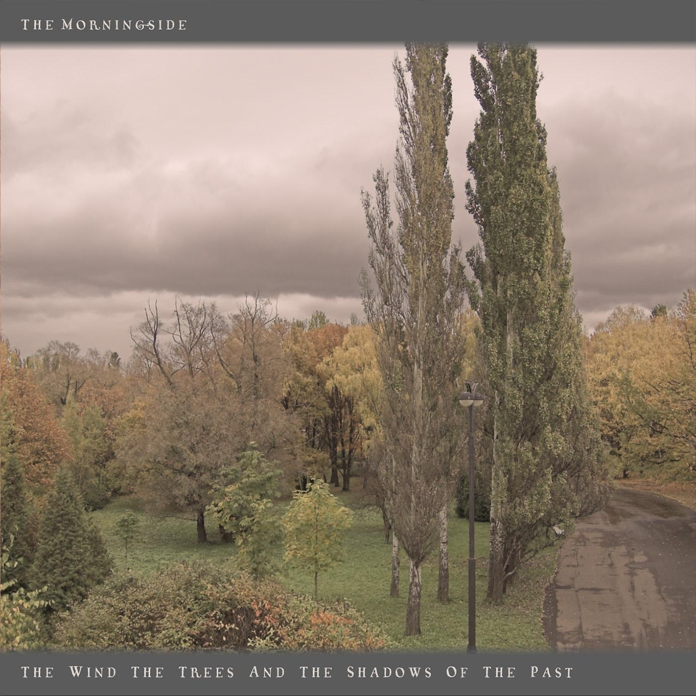 The Wind, The Trees And The Shadows Of The Past