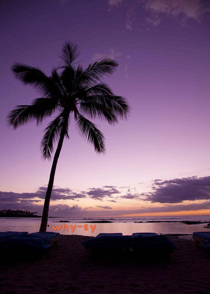 Hawaii专辑