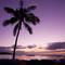 Hawaii专辑