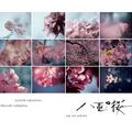 NHK大河ドラマ「八重の桜」- オリジナル・サウンドトラック コンプリート盤