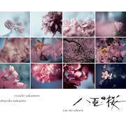 NHK大河ドラマ「八重の桜」- オリジナル・サウンドトラック コンプリート盤