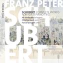 Schubert: Complete works for fortepiano trio专辑
