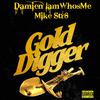 Damien IamWhosMe - Gold Digger