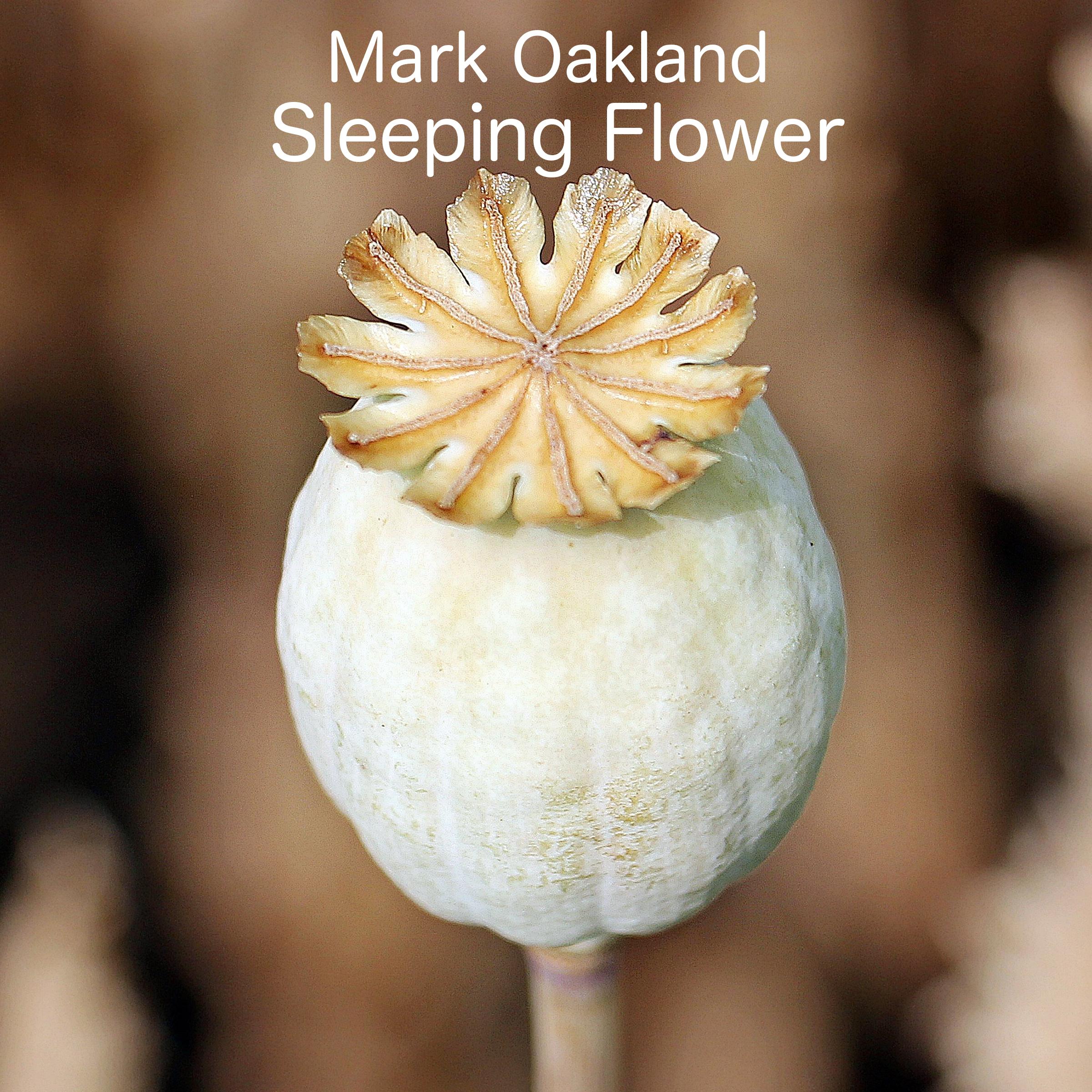 Sleeping Flower