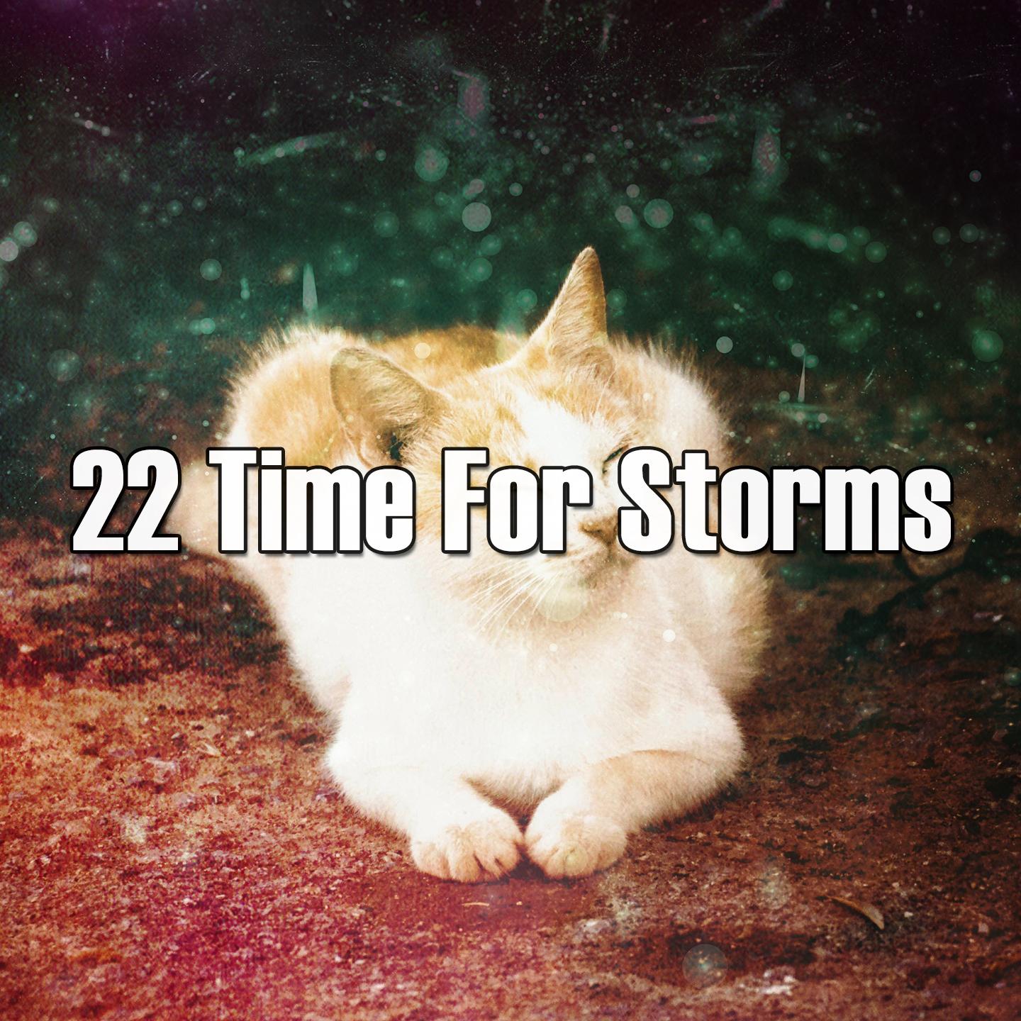 22 Time for Storms专辑