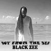 Black Zee - I did it