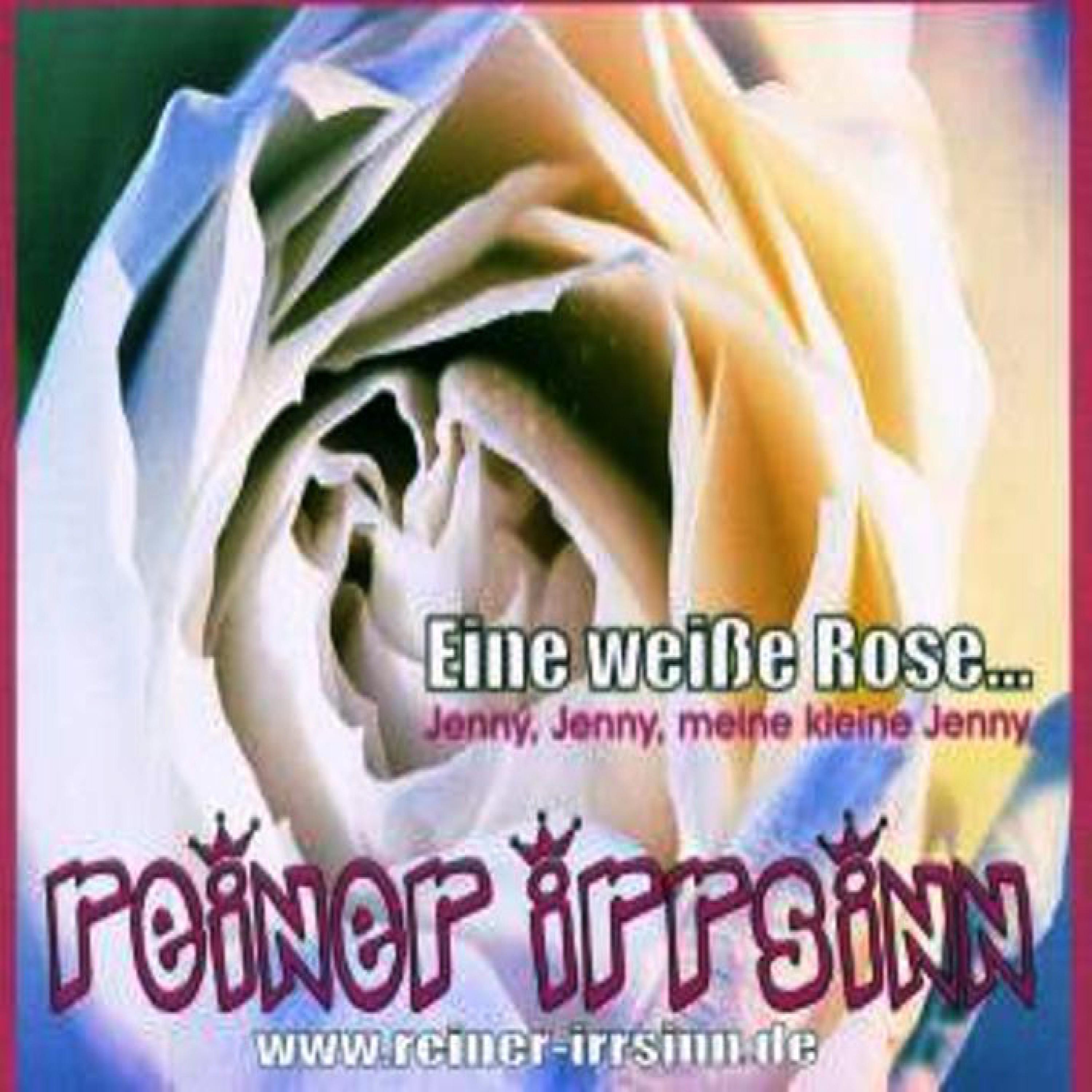 Eine Weiße Rose