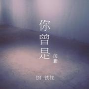你曾是（DJ铁柱版）