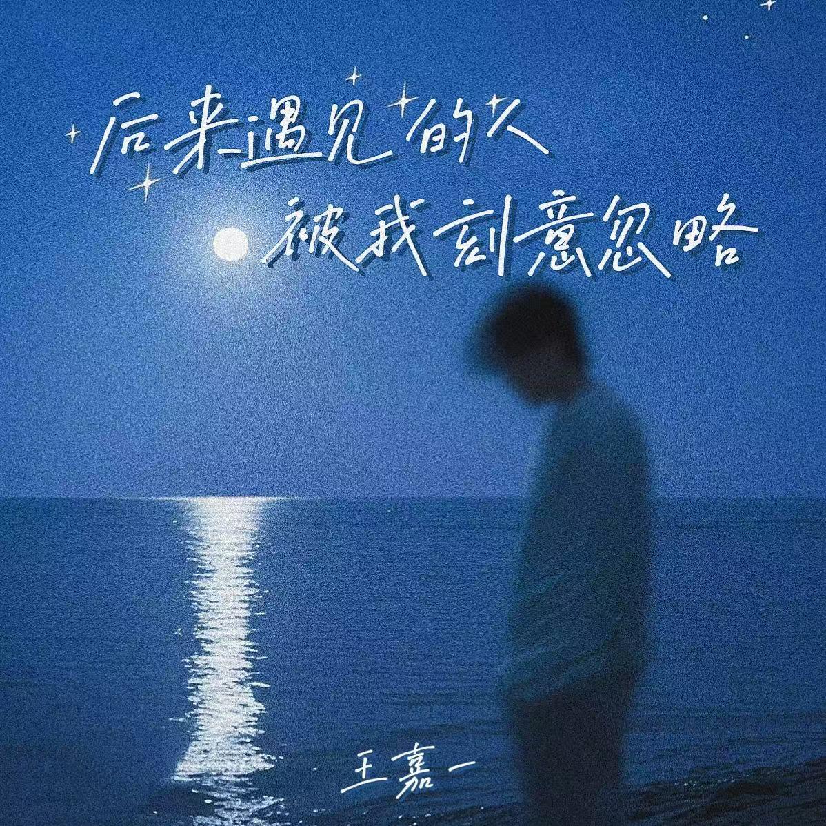 后来遇见的人被我刻意忽略专辑