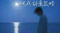 后来遇见的人被我刻意忽略