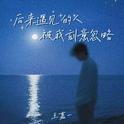 后来遇见的人被我刻意忽略专辑