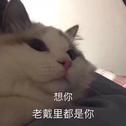 小系几专辑