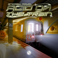 Acid On The Train (Extended Mix)