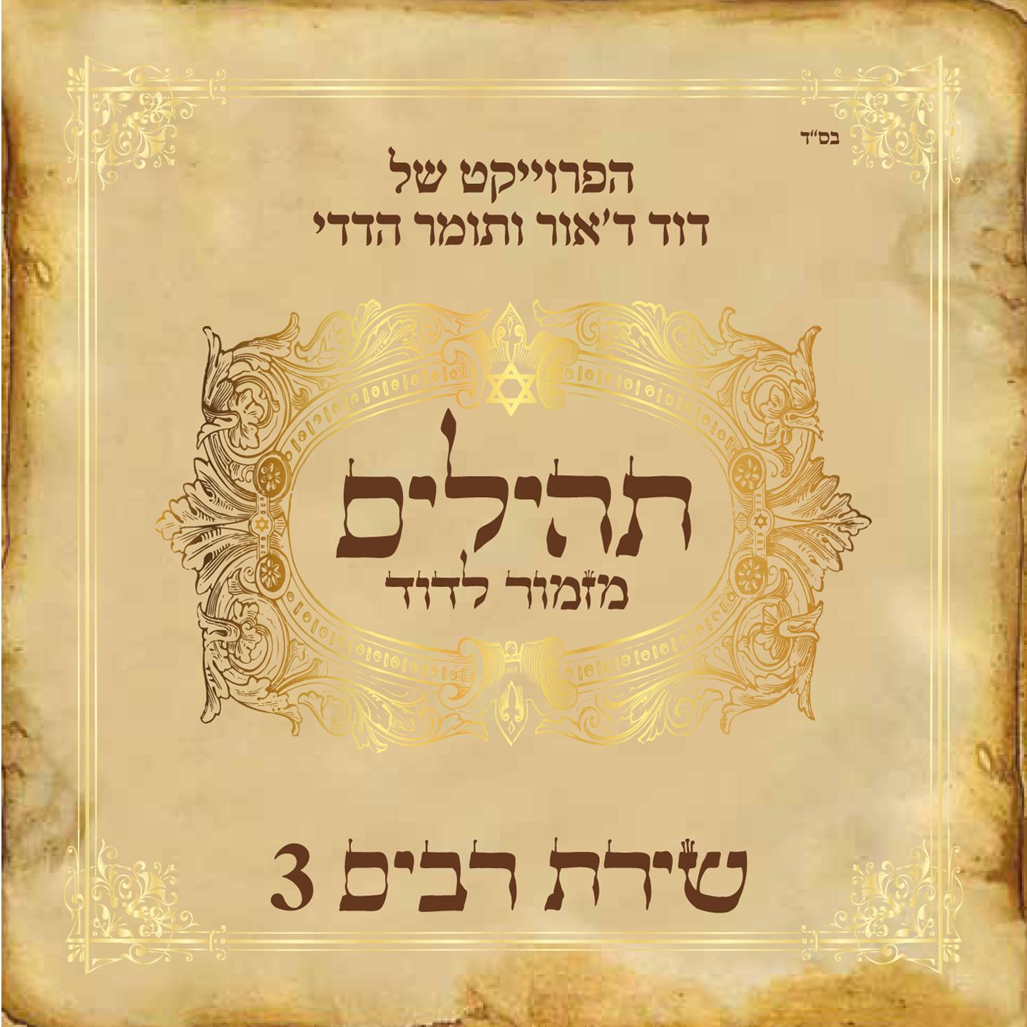שירת רבים 3 (תהילים - מזמור לדוד)