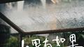 如果有如果专辑