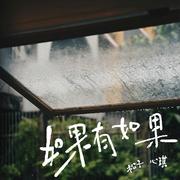 如果有如果