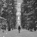 漂泊的大雪 (2025的第一场雪)