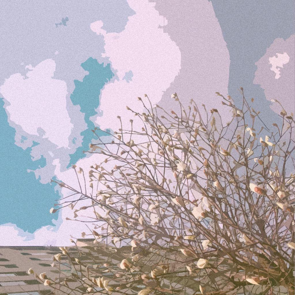 愿与愁
