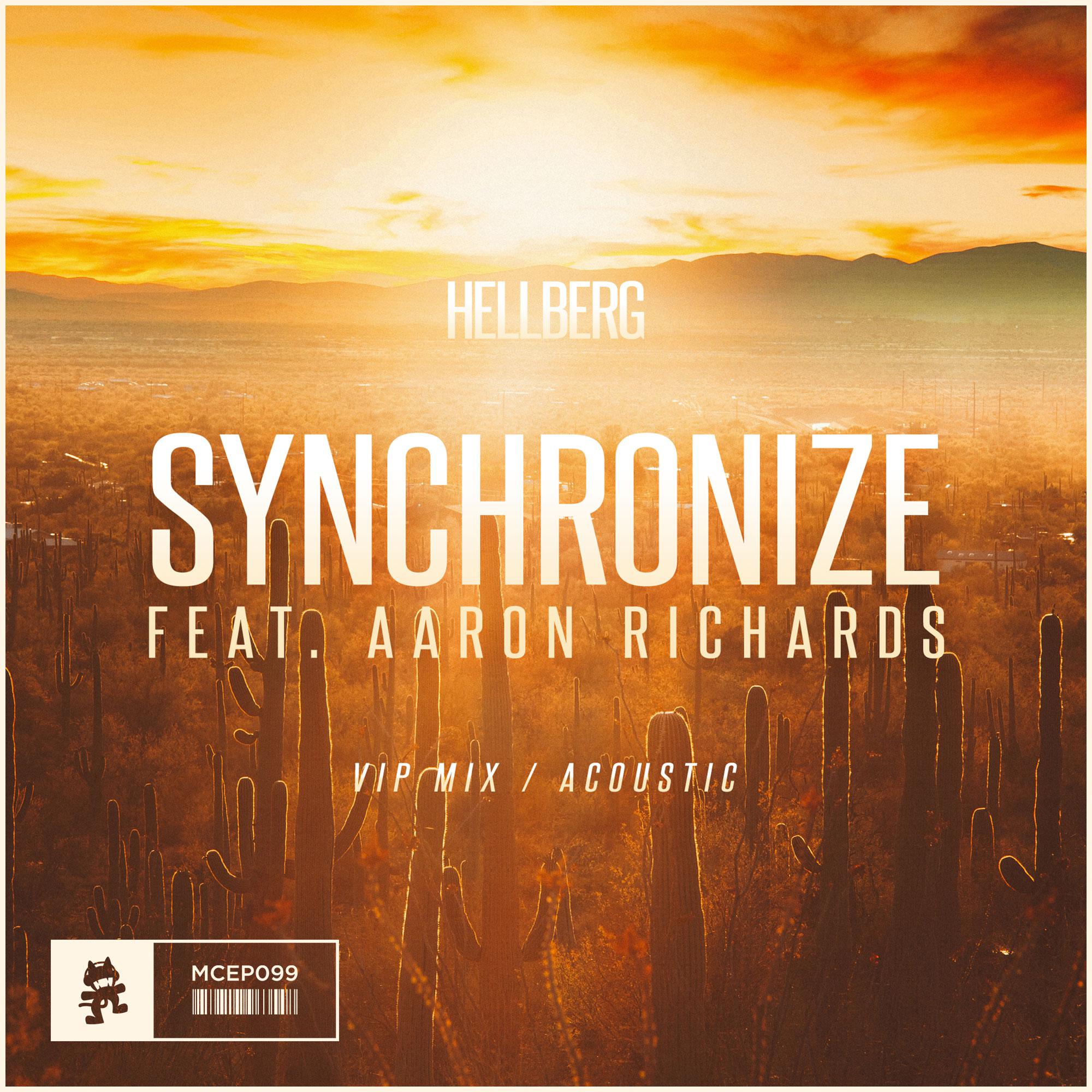 Synchronize (VIP Mix / Acoustic)专辑