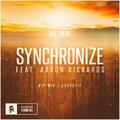 Synchronize (VIP Mix / Acoustic)