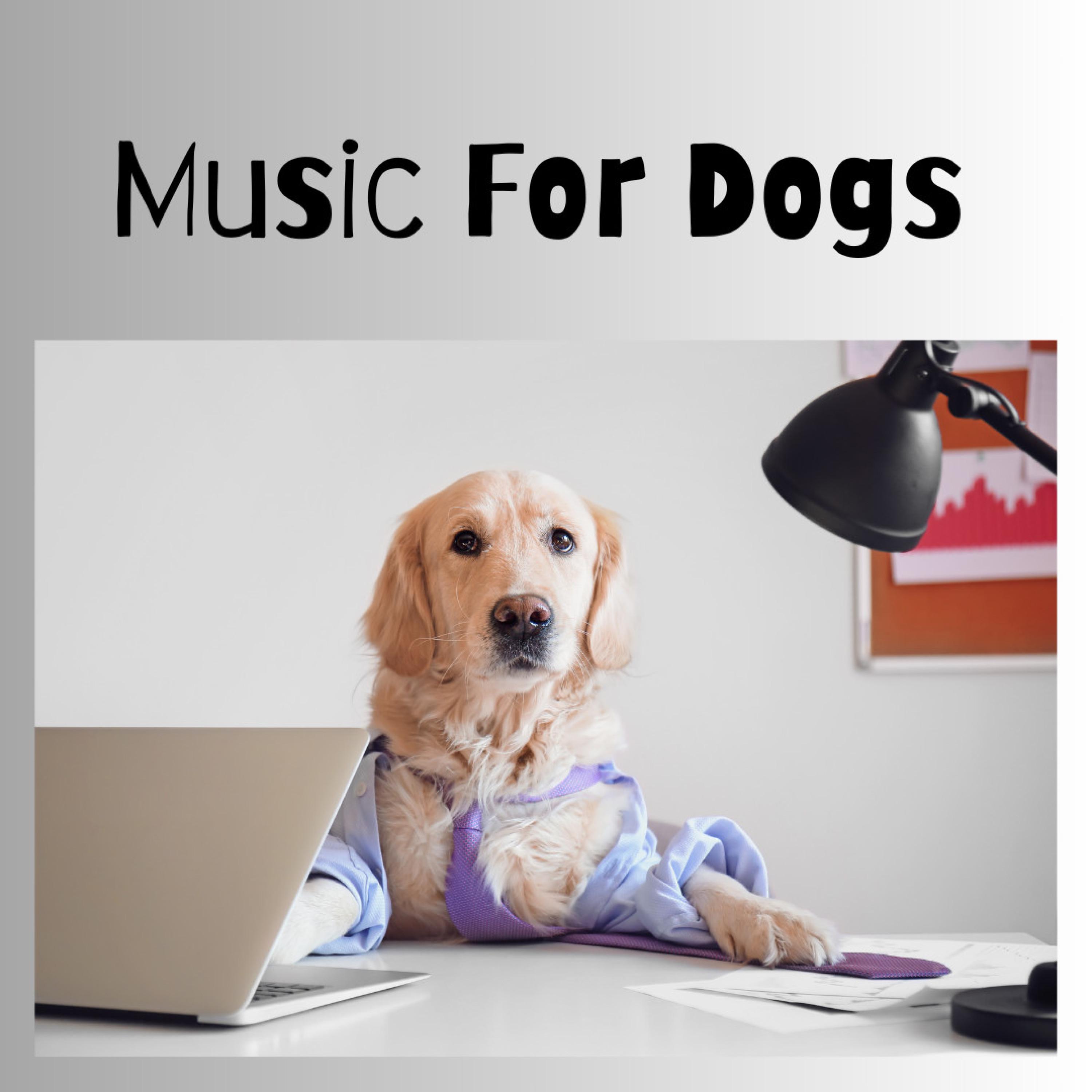 Classical Music for Dogs - Music For Dogs/Music For Dogs Peace/Relaxing ...