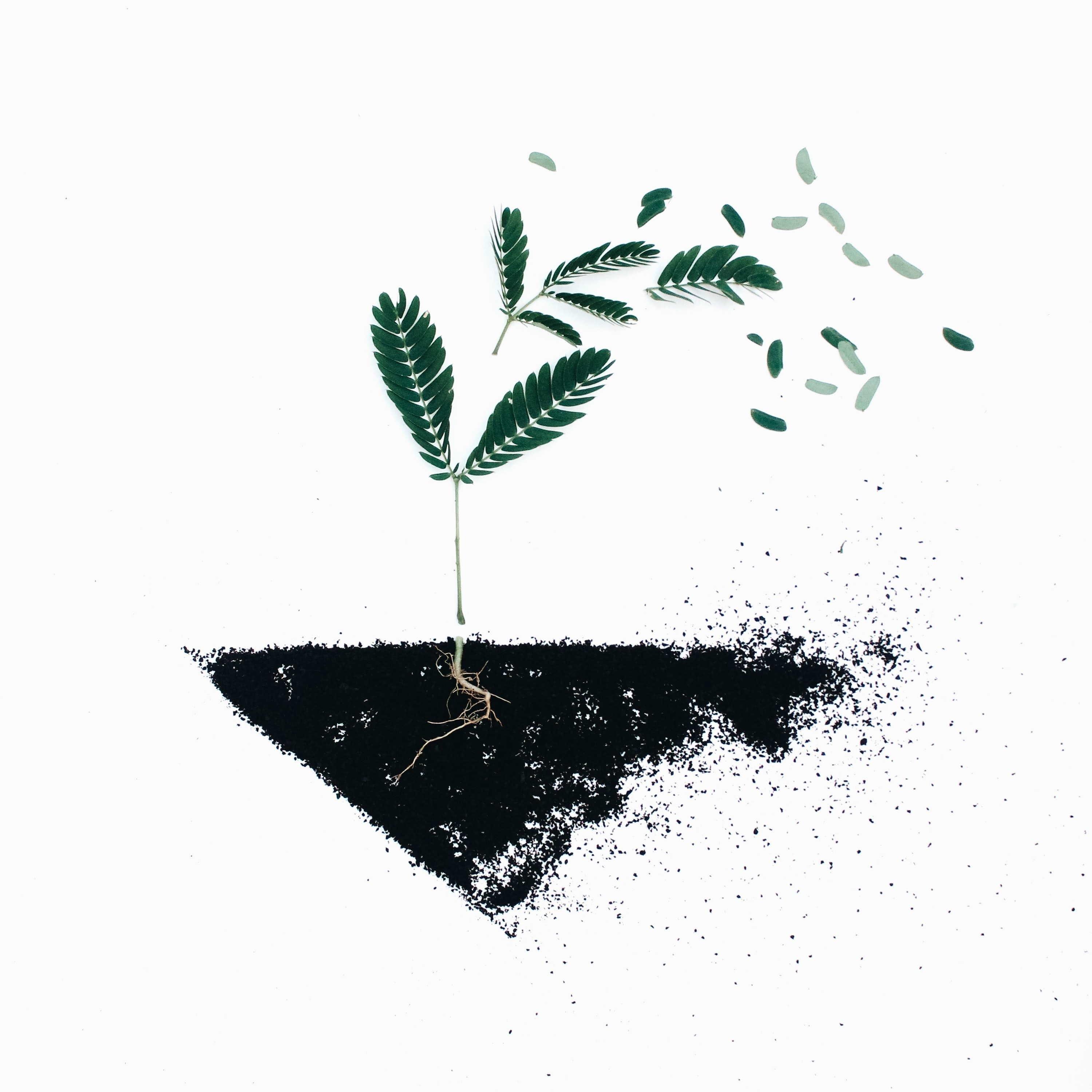 New Beginnings