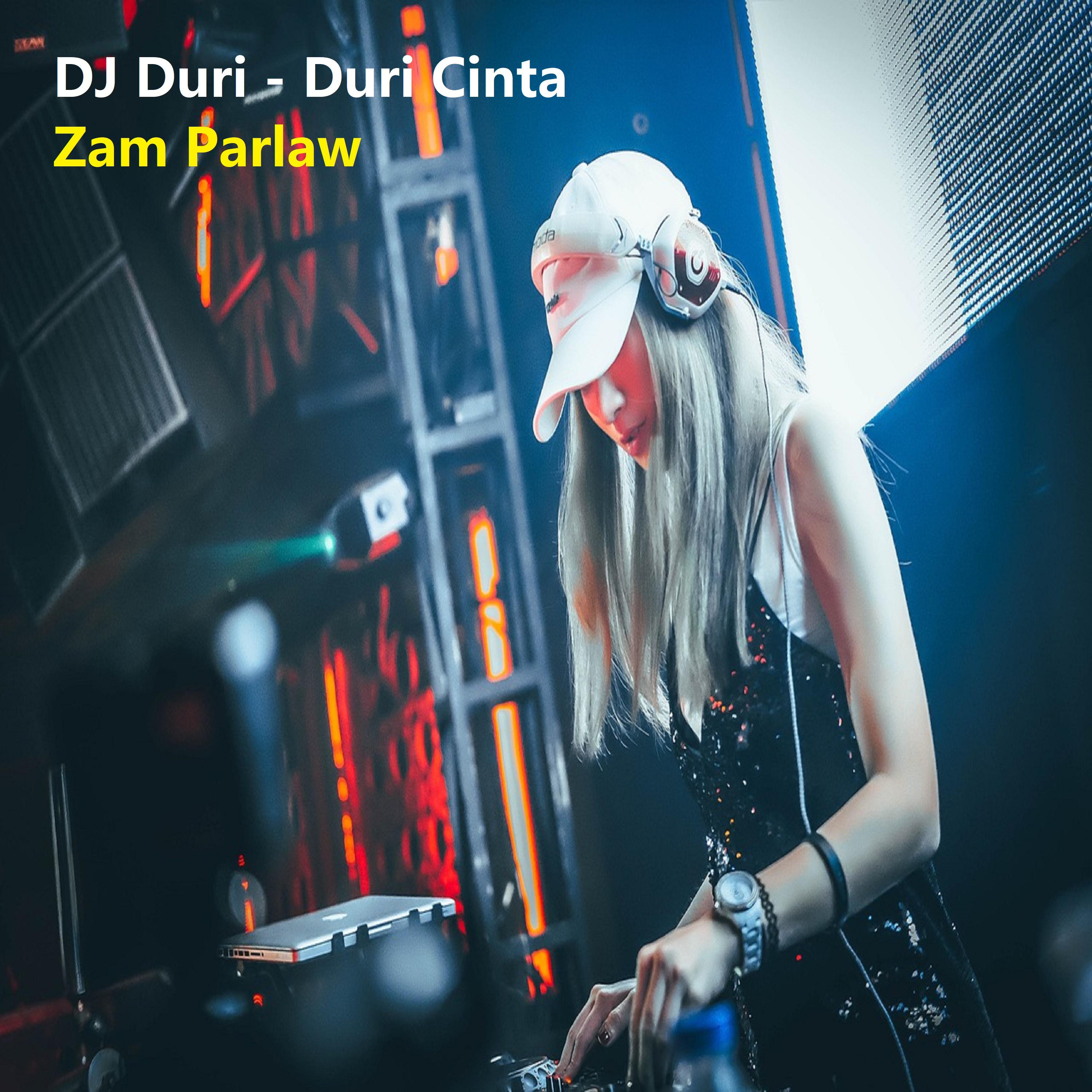 Zam Parlaw - DJ Duri - Duri Cinta