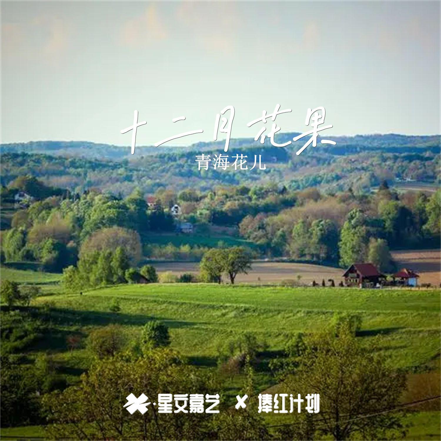 十二月花果