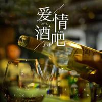 王峰-爱情酒吧(DJ沈念版)