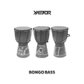 Bongo Bass