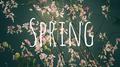 spring专辑