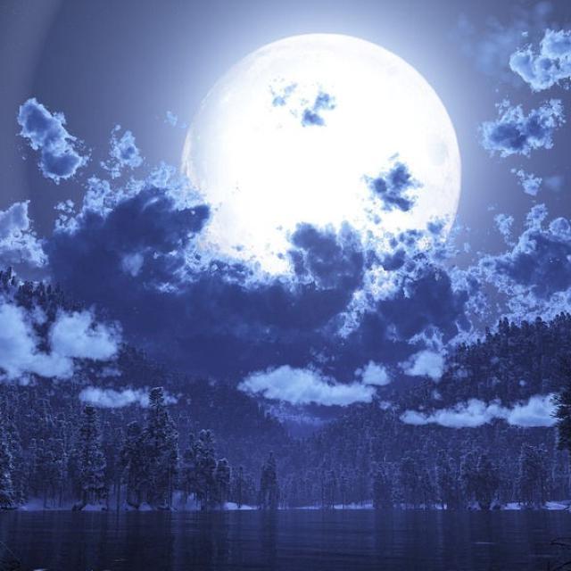 三月的罗曼蒂克