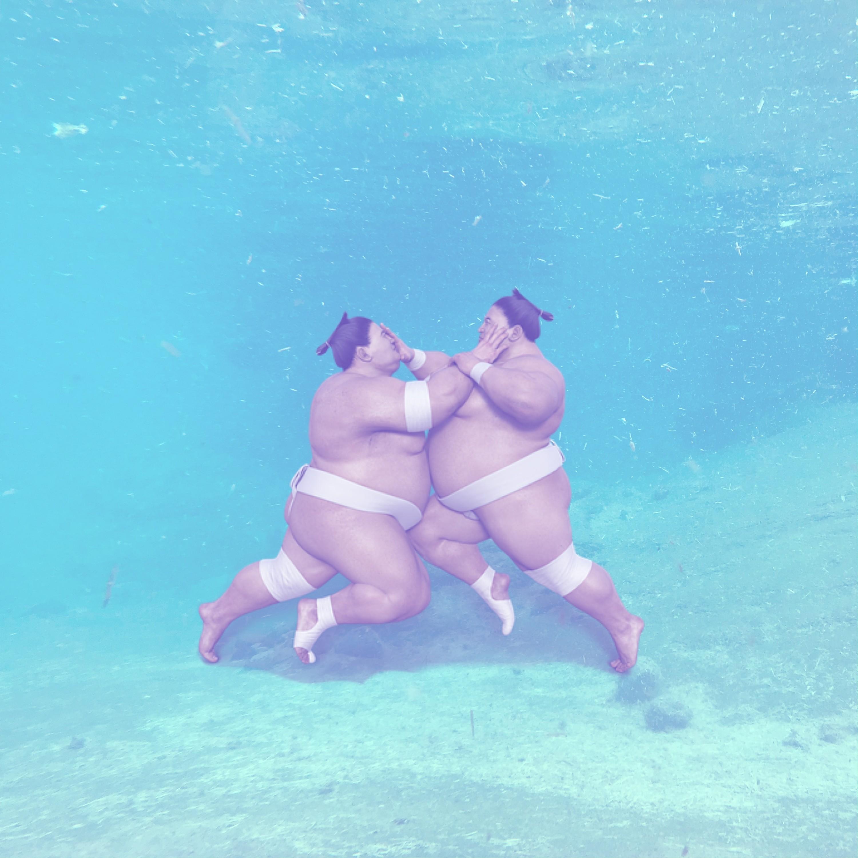 Sumo