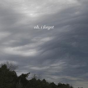 Slipknot-Before I Forget （升2半音）